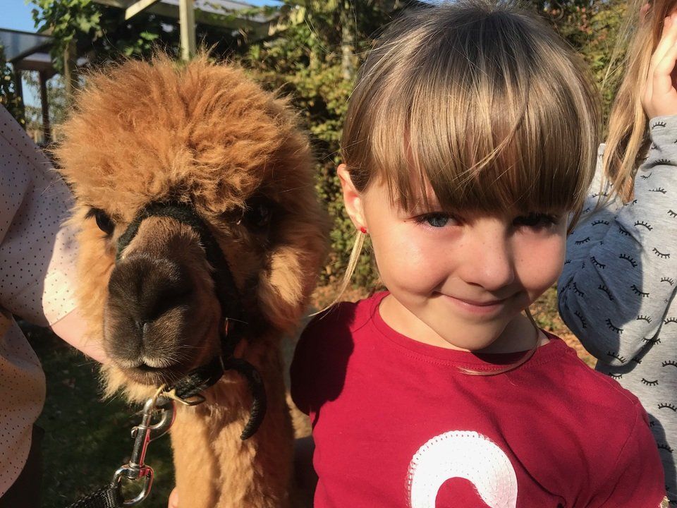 selfie met alpaca