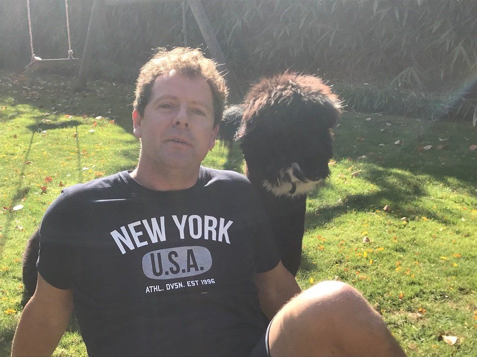 chillen met alpaca