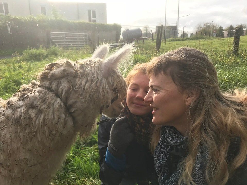 Alpaca vriend