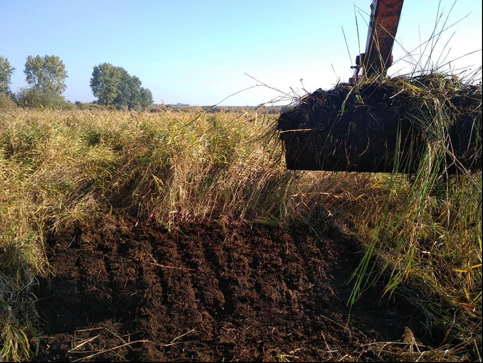 Aménagement dans une zone humide