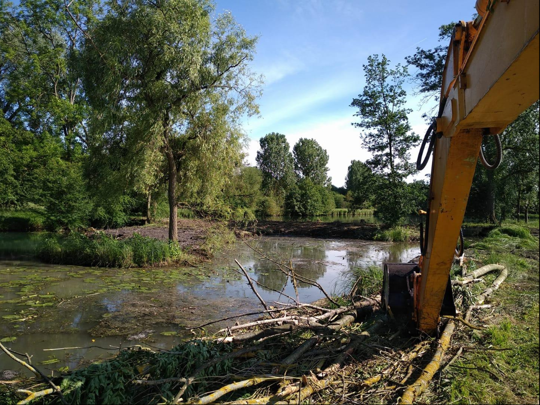 Terrassement zone humide