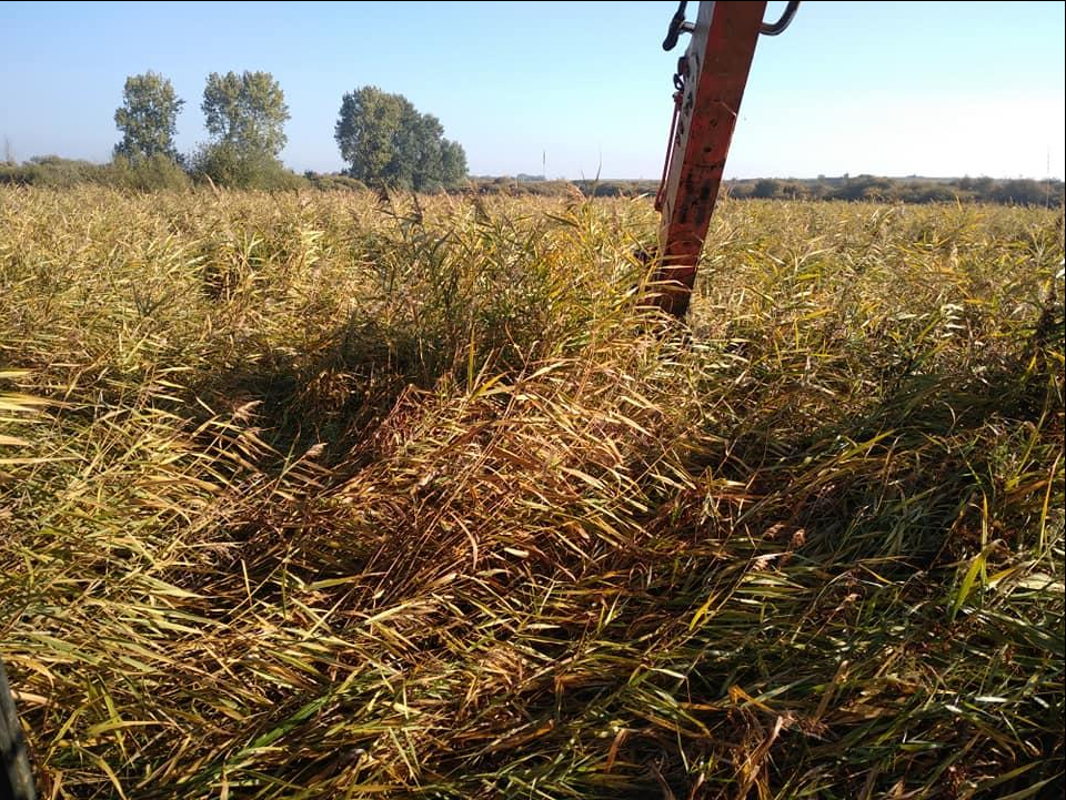 Gestion des zones humides