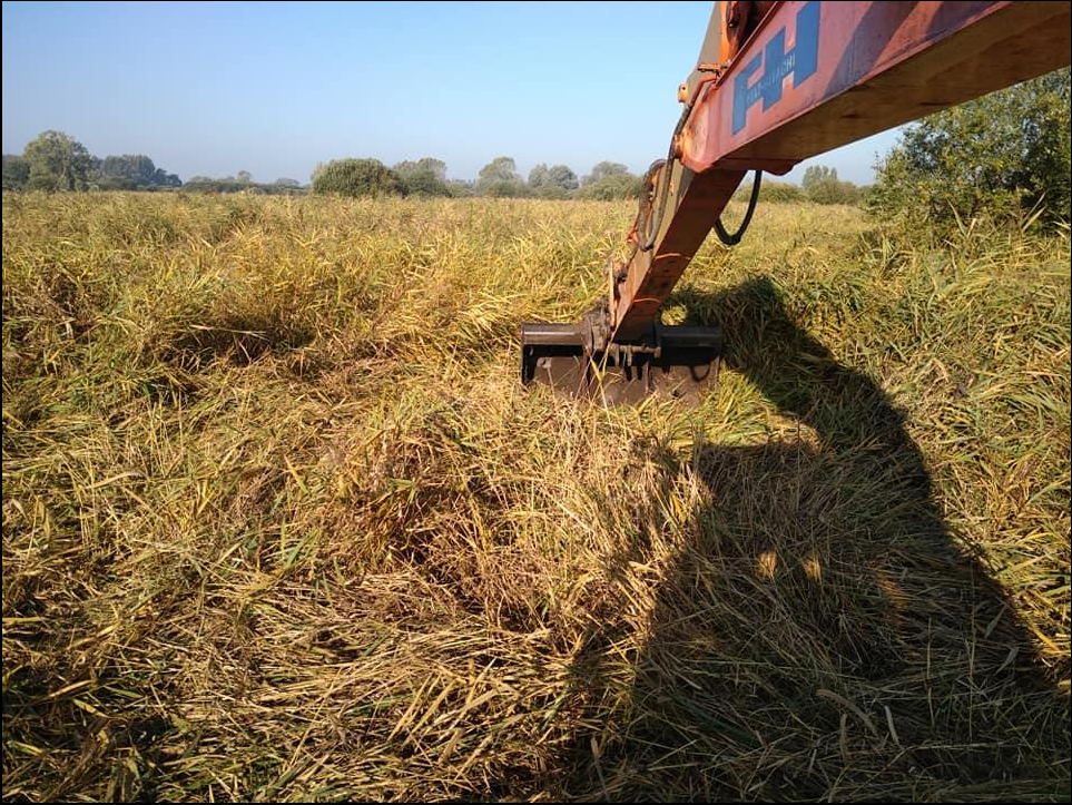 Travaux réglementés en zones humides