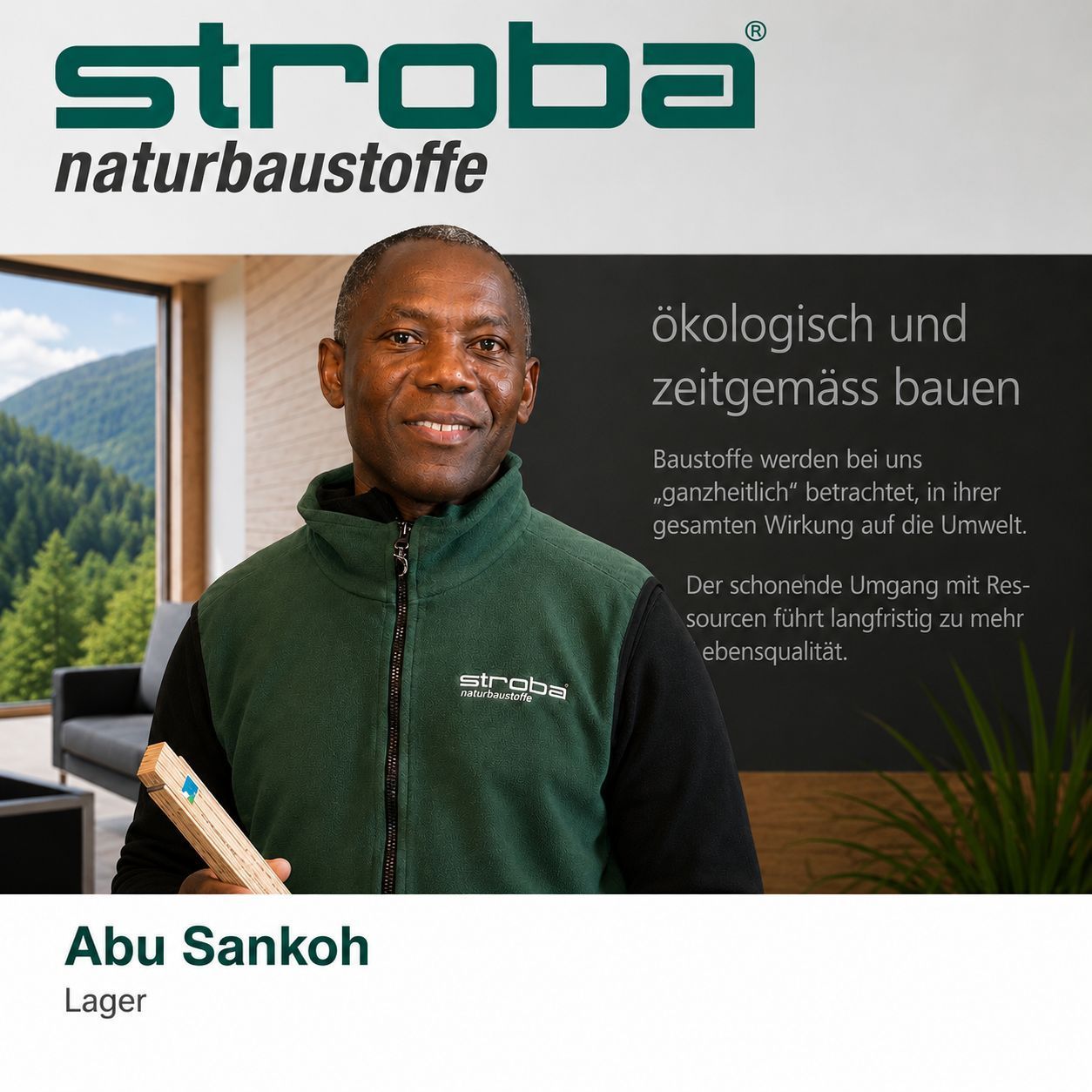 stroba naturbaustoffe ag