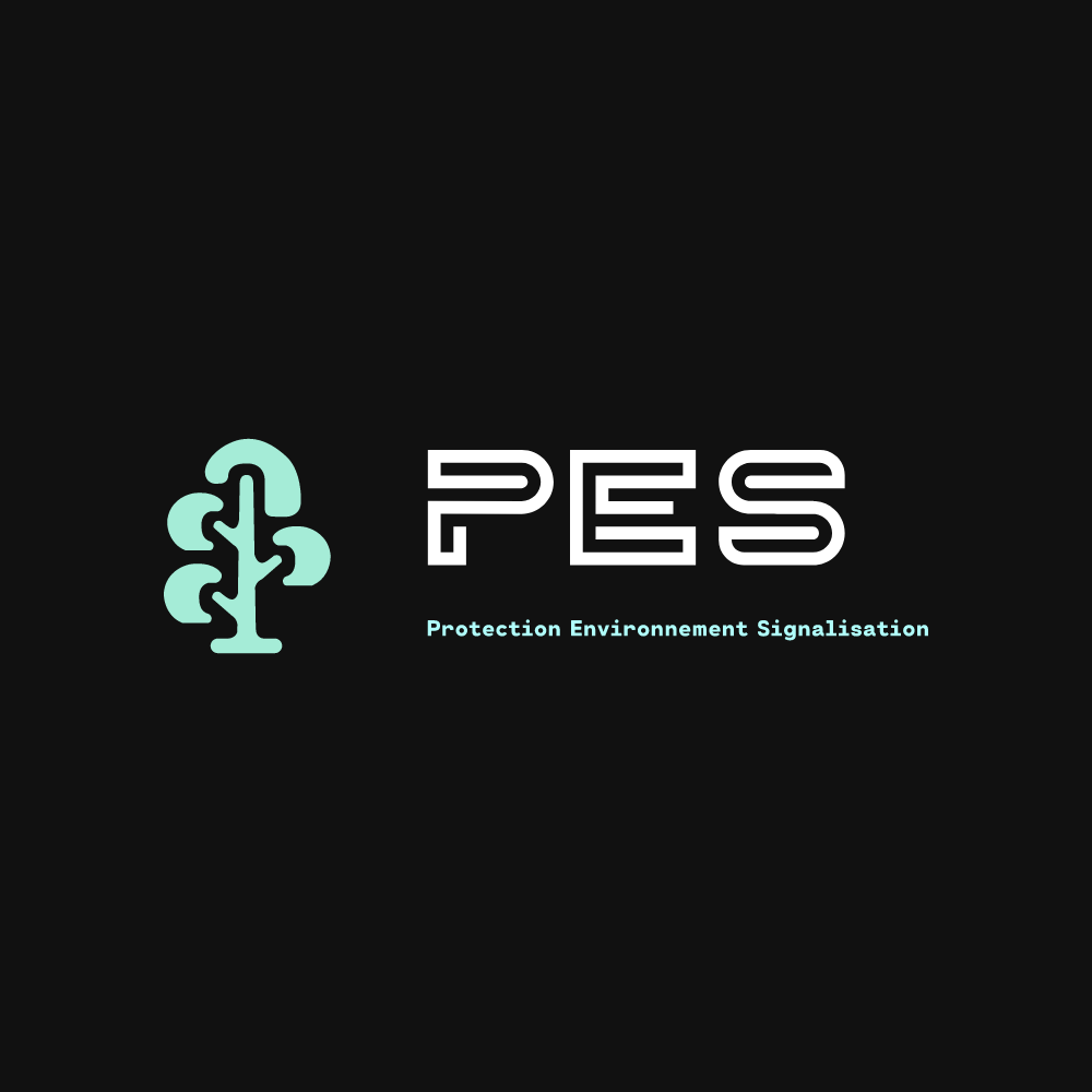 Logo PES