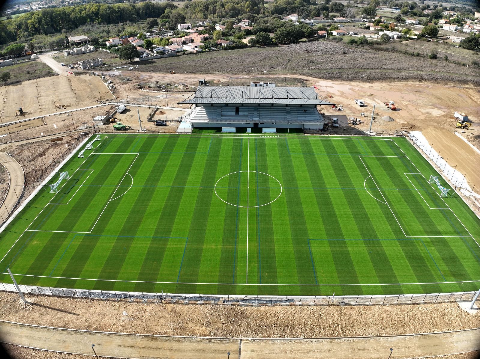 Probable gazon verdâtre