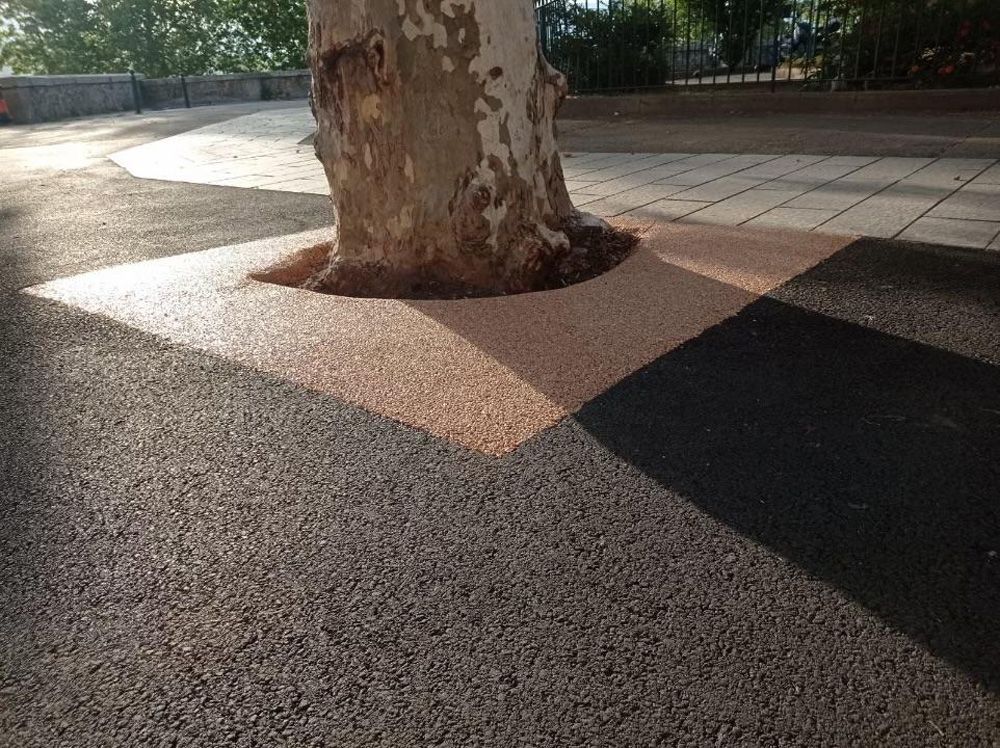 Un tronc d'arbre émerge d'une plaque carrée de pavé texturé de couleur claire, incrustée dans un sol gris foncé.