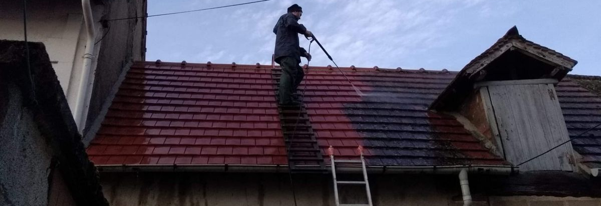 Démoussage de toiture