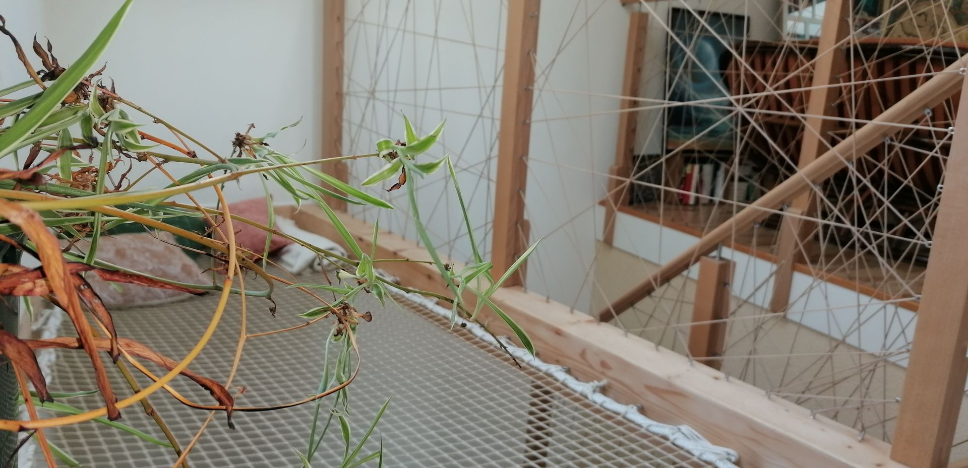 Garde-corps et toile