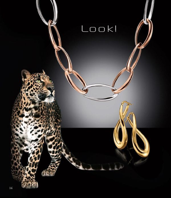 Rosegoldene mit Platin Kette und Goldene Ohrringe