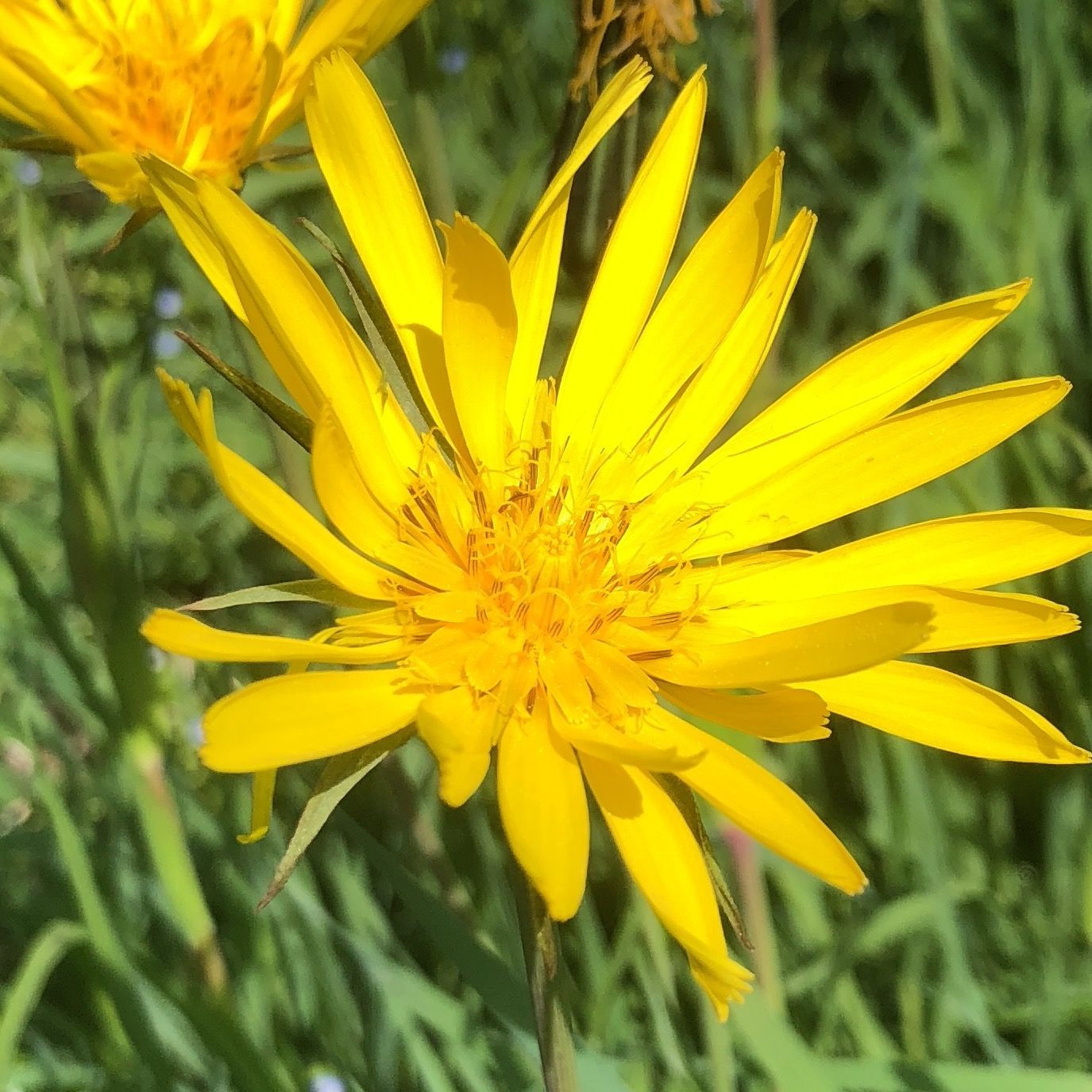 Gartenumgestaltung - Gardenpower in Männedorf
