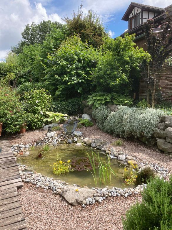 Gartenbau Teich - Gardenpower in Männedorf