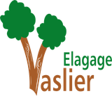 Logo de Vaslier Elagage