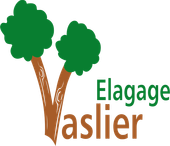 Logo de Vaslier Elagage