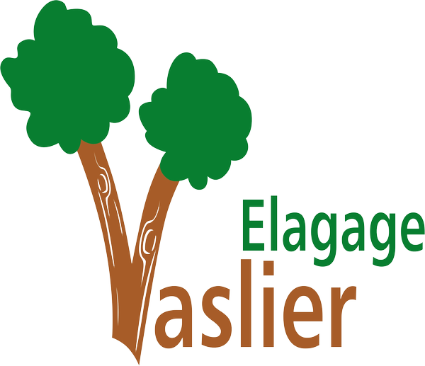 Logo de Vaslier Elagage