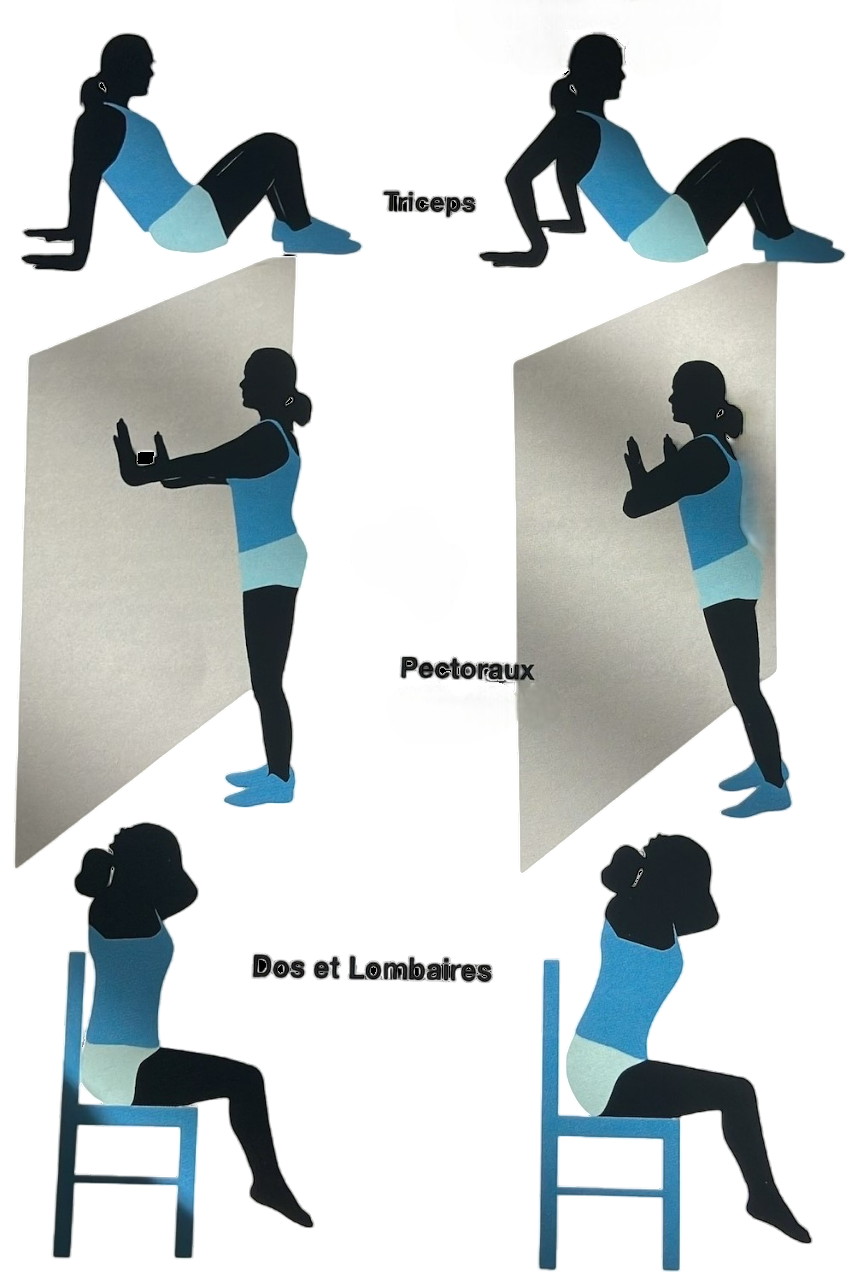 Exercices haut du corps à faire au sol, contre un mur ou sur une chaise