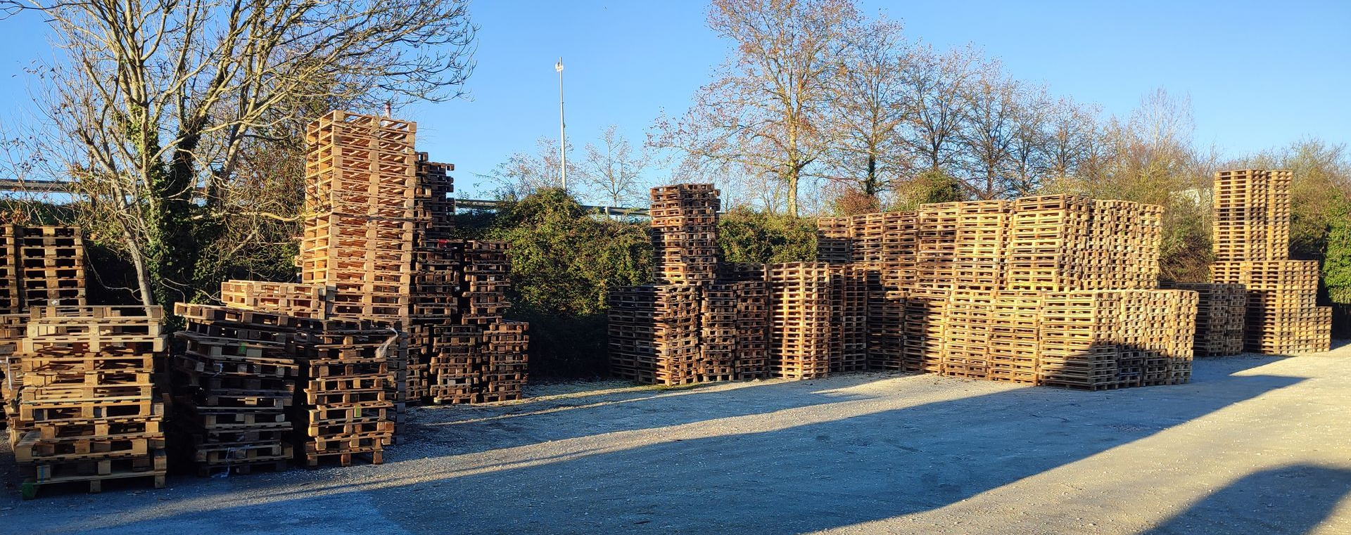 Un tas de palettes en bois empilées sur un terrain