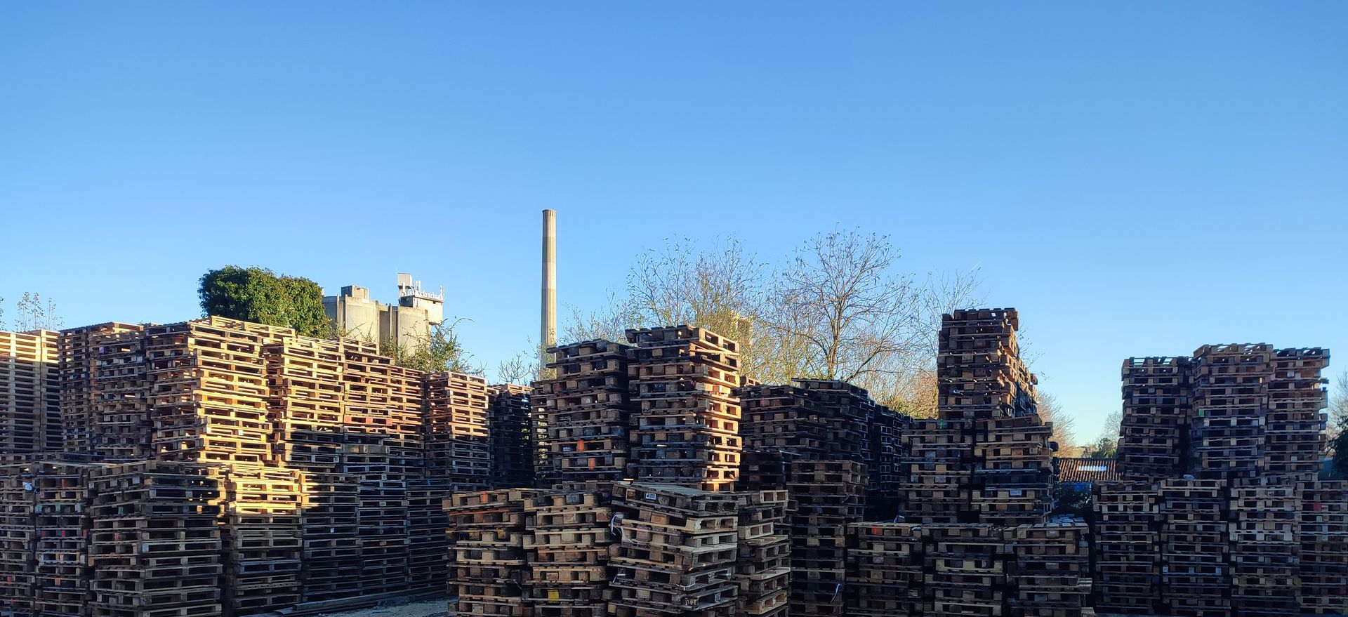 Des tas de palettes à l'extérieur