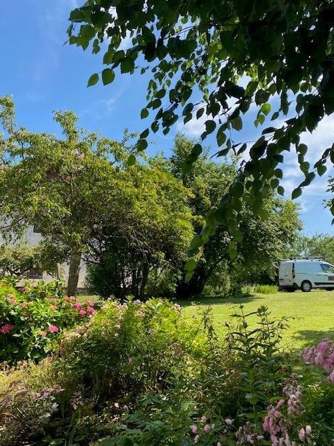 Intervention dans un jardin public pour la taille de haies