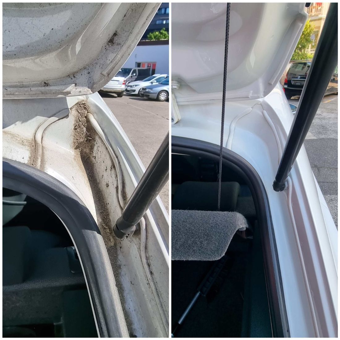 Schneider Car Detailing