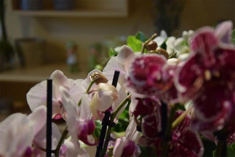 Ein Strauß Blumen steht auf einem Tisch in einem Zimmer.