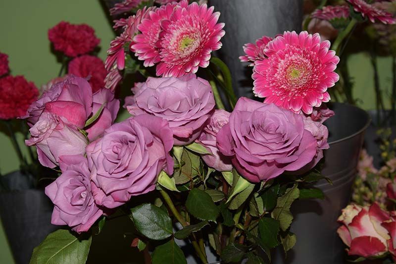 Ein Strauß rosa Blumen, darunter Rosen und Gerbera
