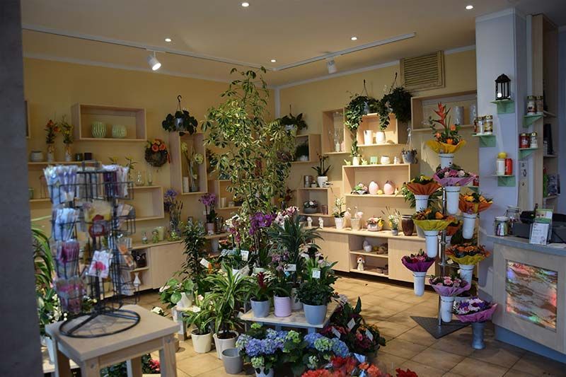 Ein Geschäft voller Topfpflanzen und Blumen