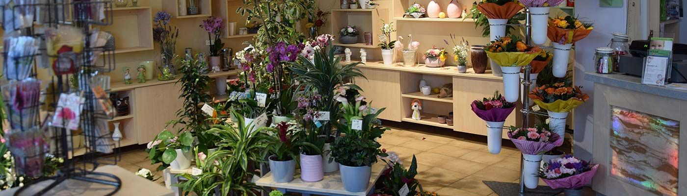 Ein Geschäft voller Topfpflanzen und Blumen