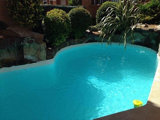 Una gran piscina rodeada de árboles y arbustos en un patio trasero.