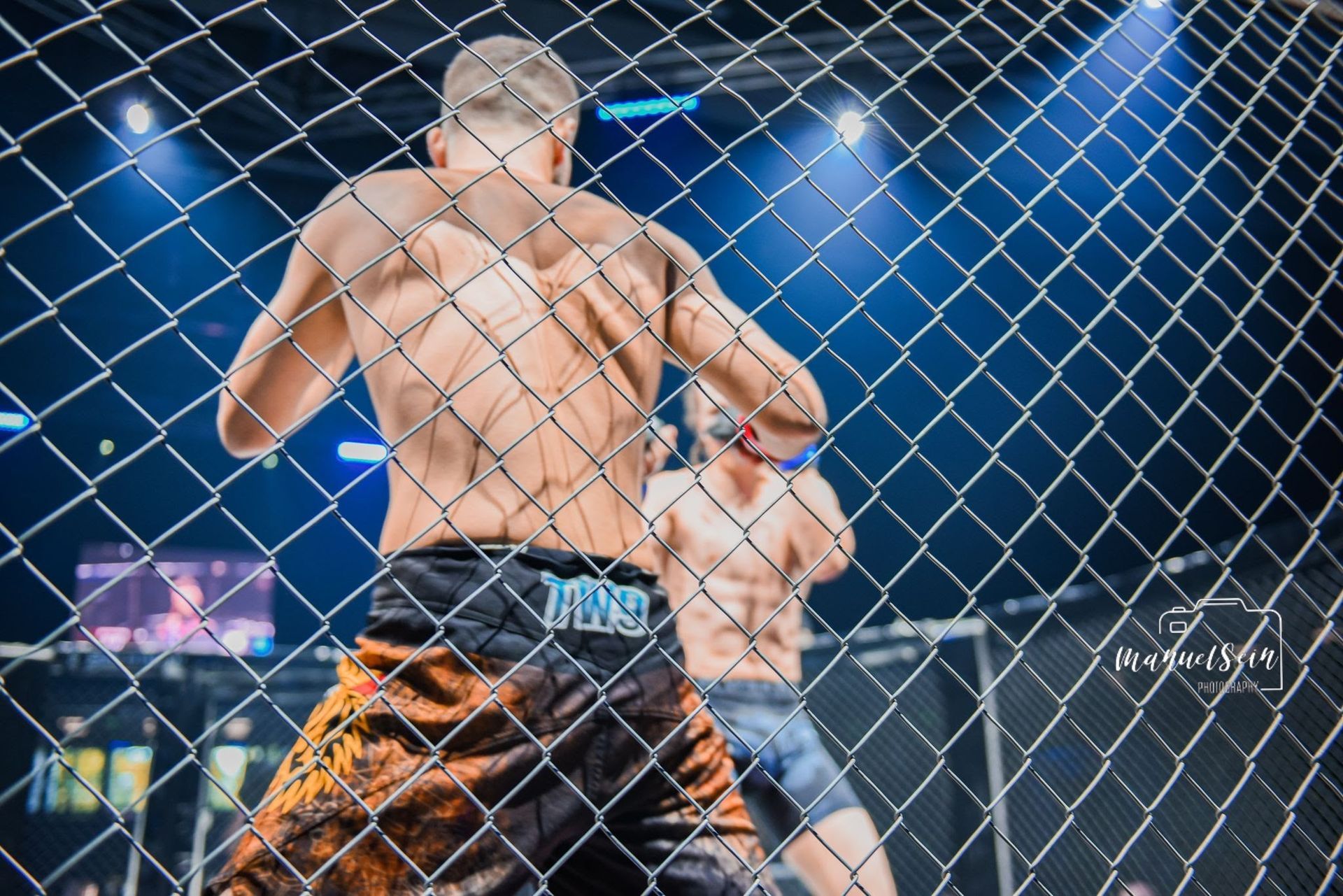 Kaksi vapaaottelijaa painii häkissä kirkkaansinisten valojen alla, verkkoaidan läpi katsottuna.