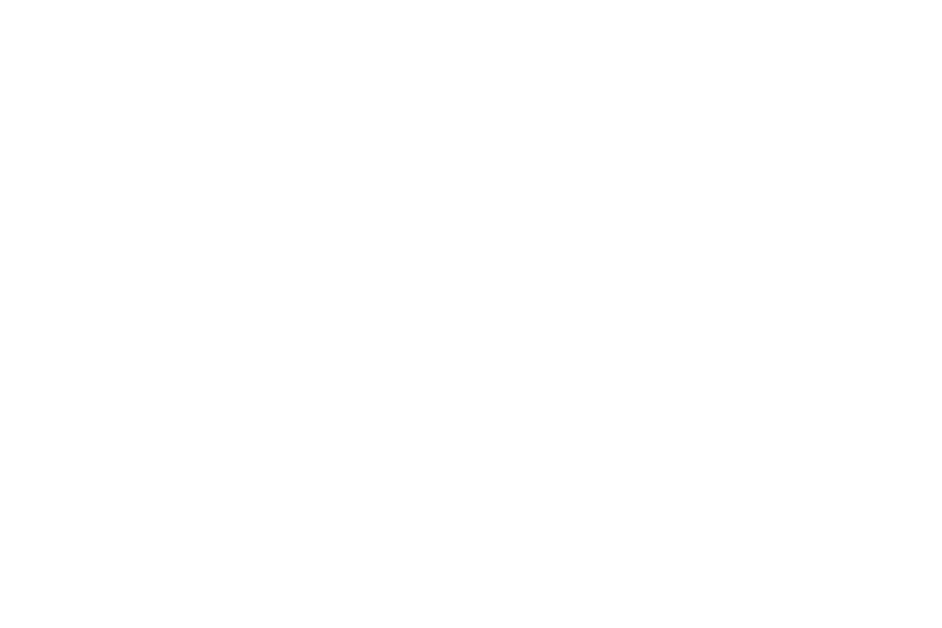 logo negativo