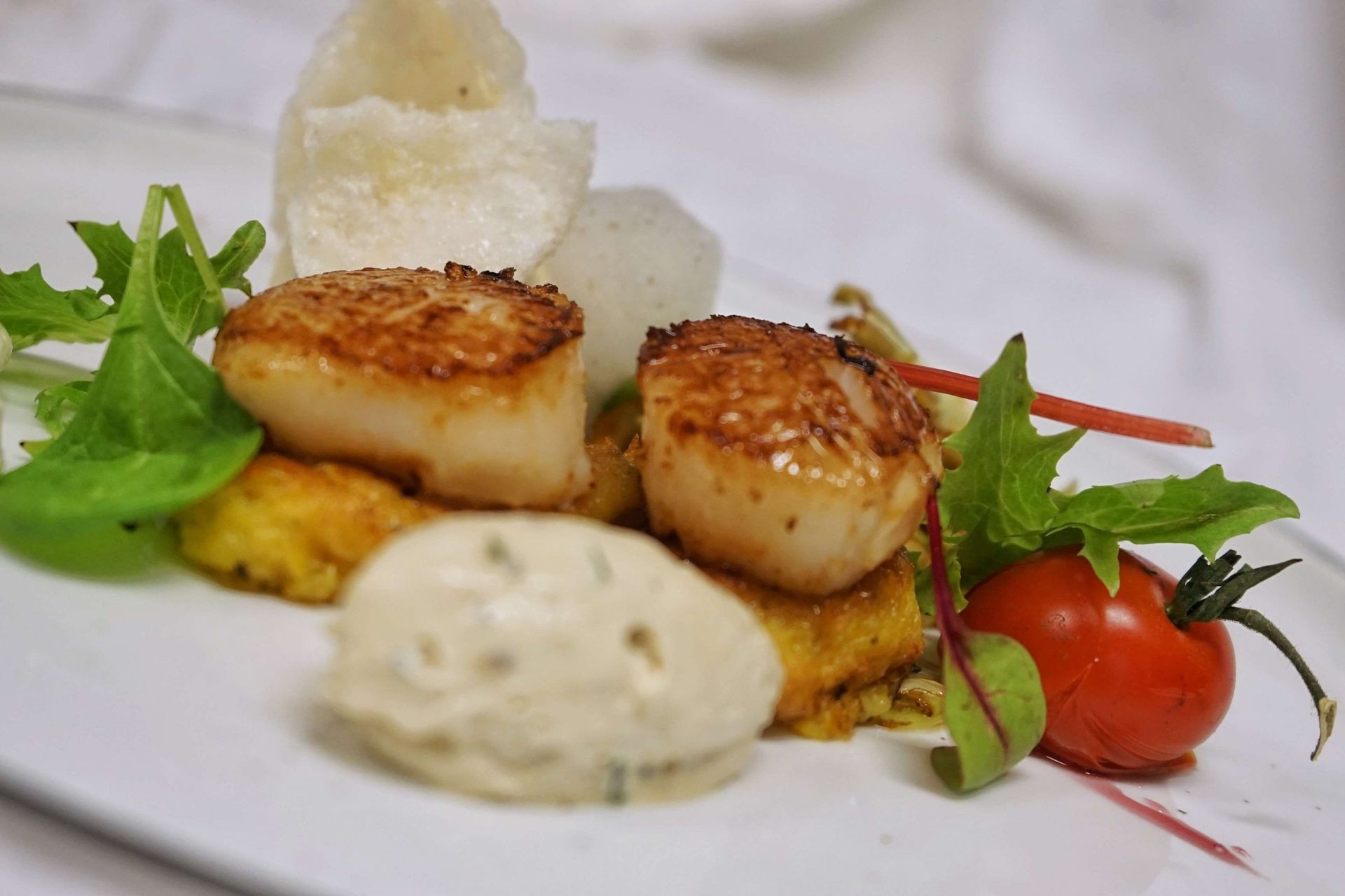 Gehobene Küche Petit Frank