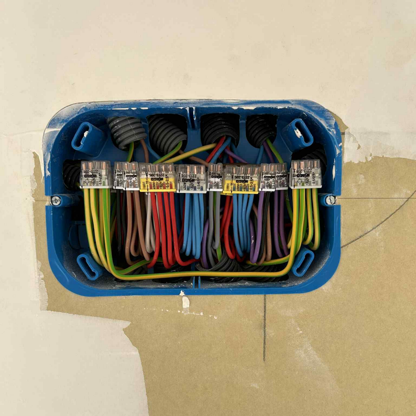 Boîte de jonction électrique bleue avec des fils de différentes couleurs connectés à l'aide de connecteurs.