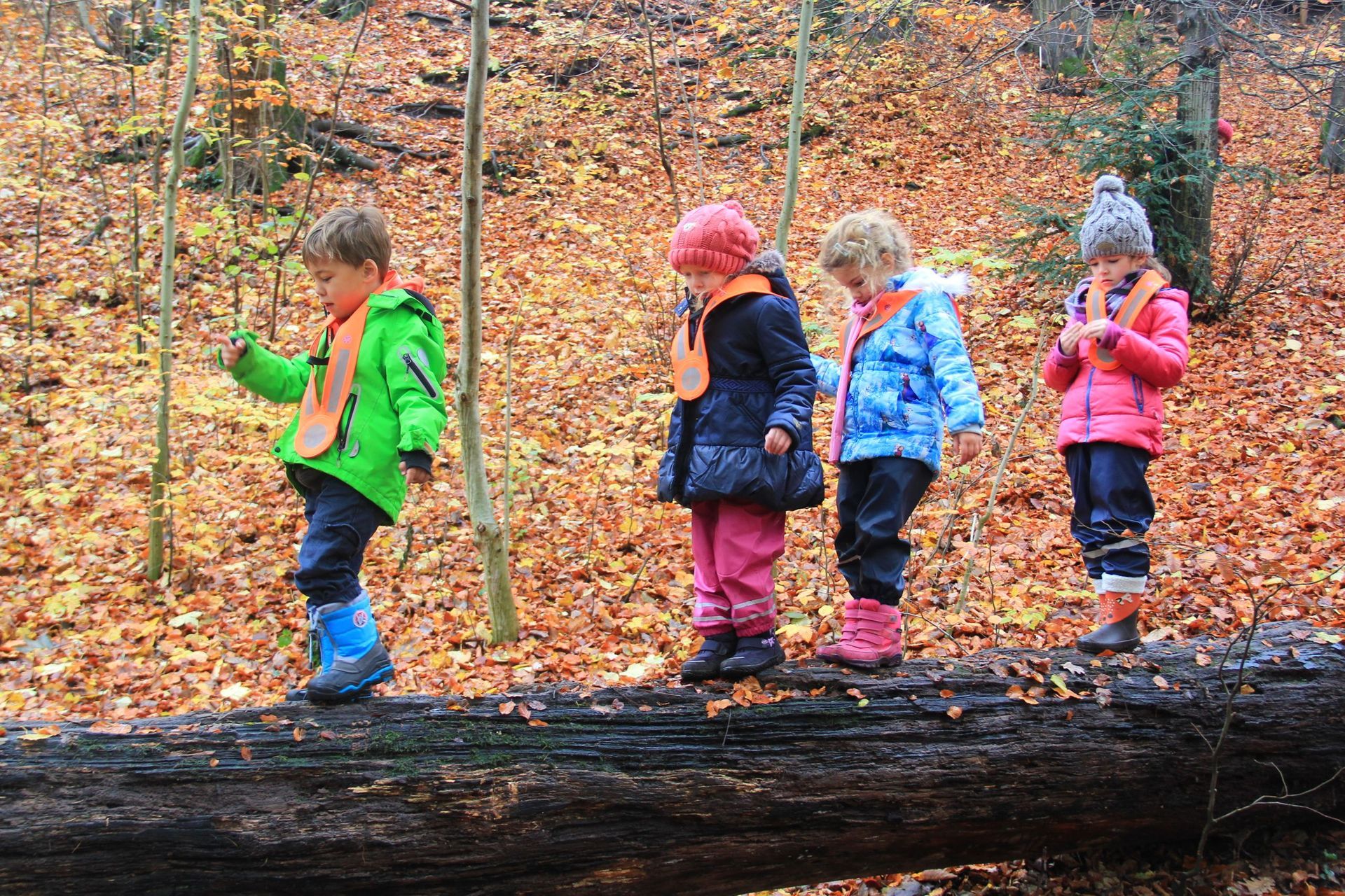 D'Insle Montessori - Impressionen Hort