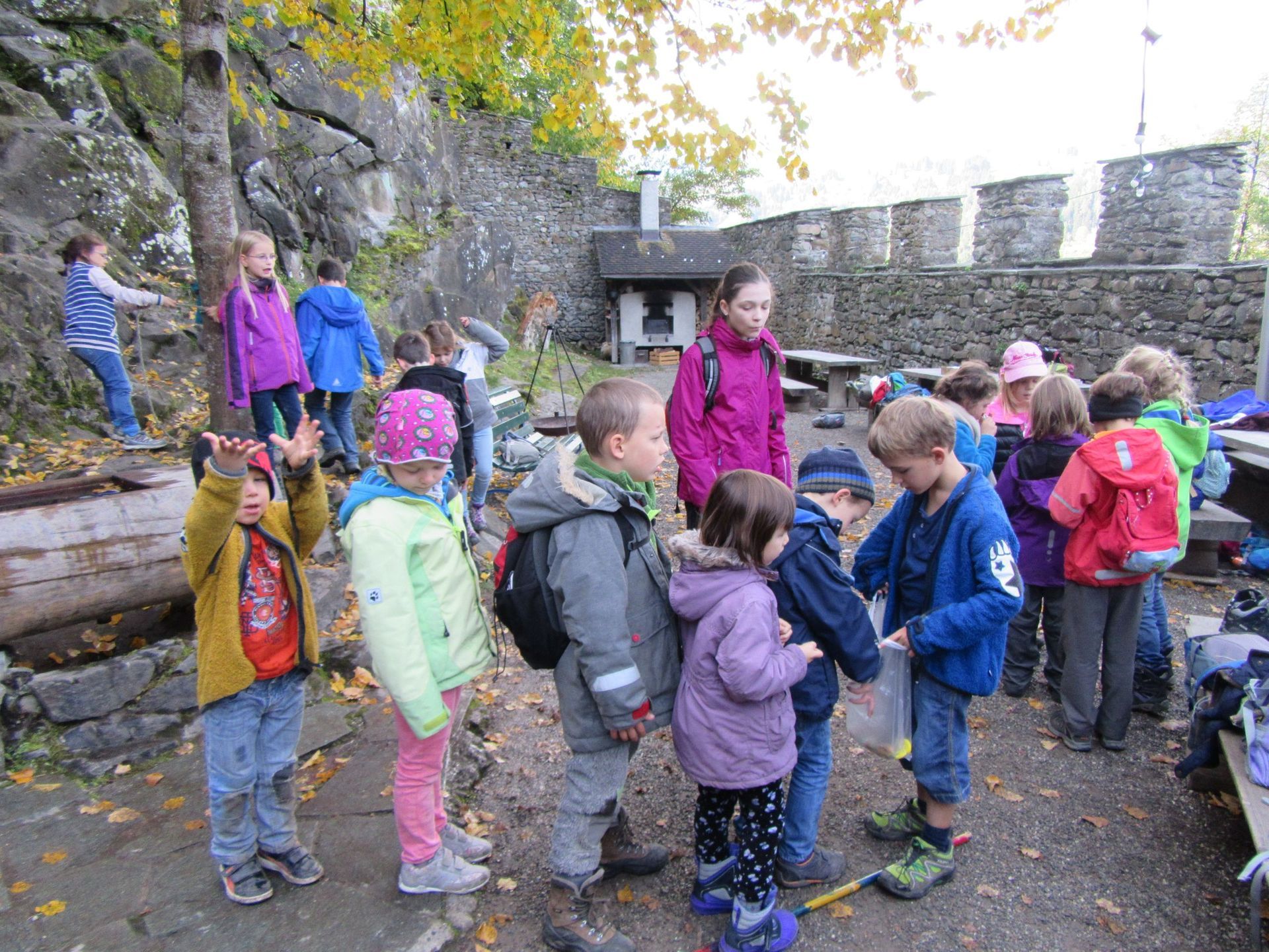 D'Insle Montessori - Impressionen Hort