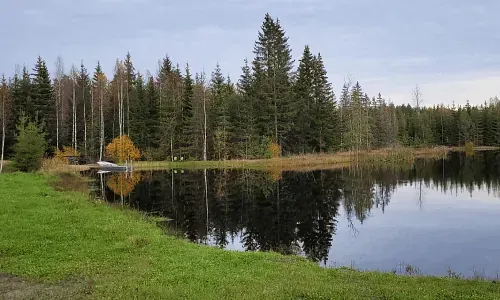 Timon mökkivuokraus