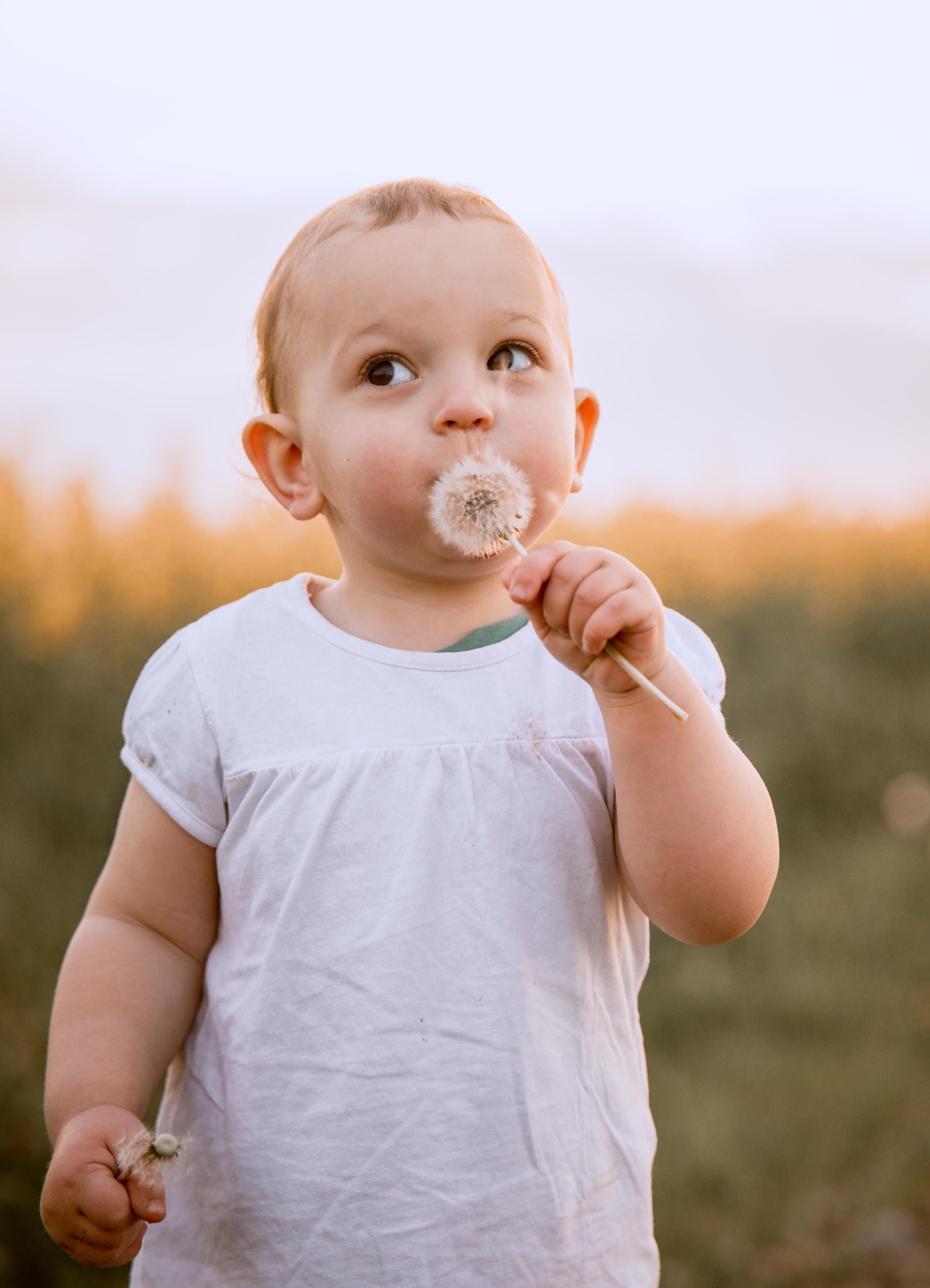 Kinderfotografie – Kleinkind pustet Pusteblume