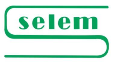Logo Selem