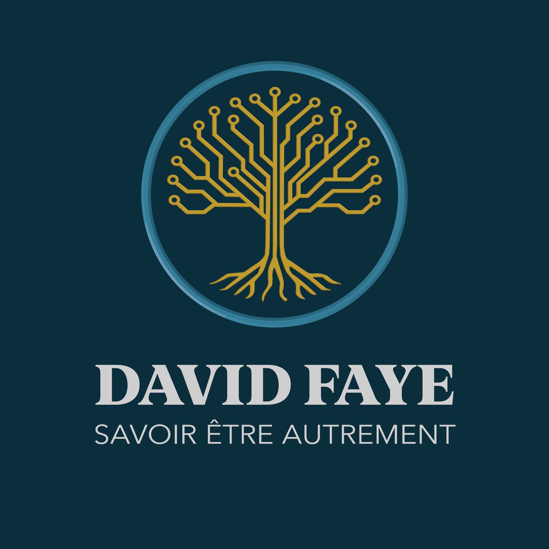 Logo de DAVID FAYE "savoir-être autrement"