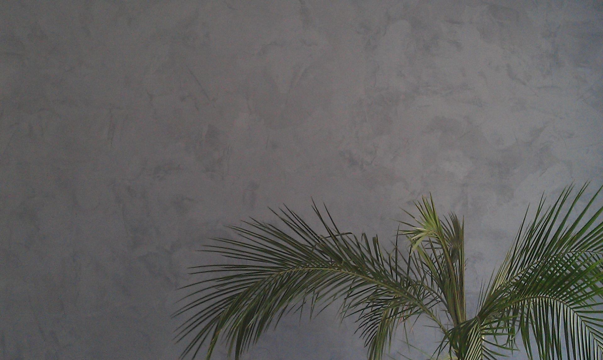 Cavallo Peinture Sàrl - peinture intérieure - murs décoratifs