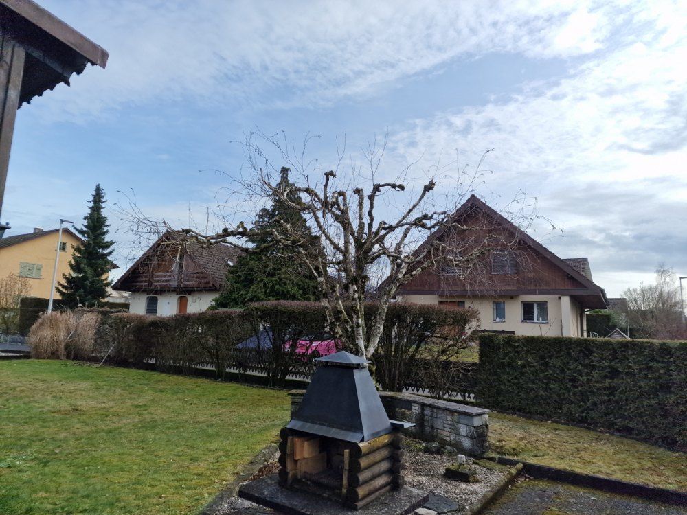 Grosser Garten mit Ofen