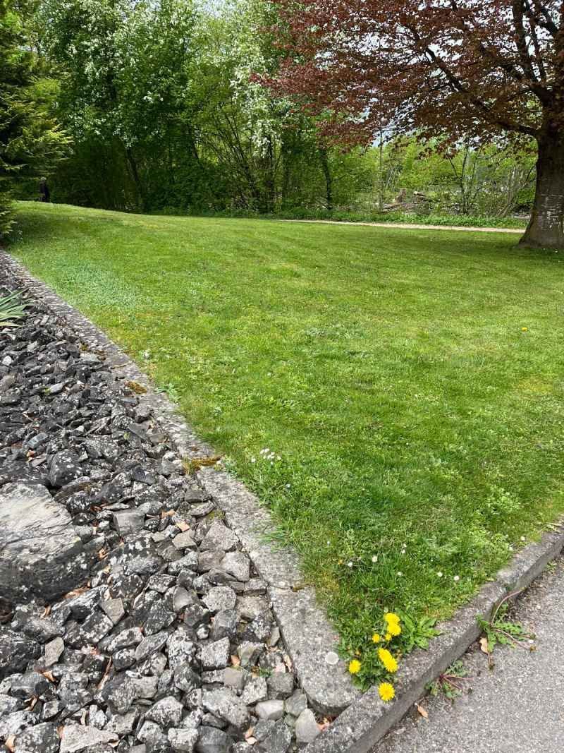 Gartenpflege, Peter Jüni
