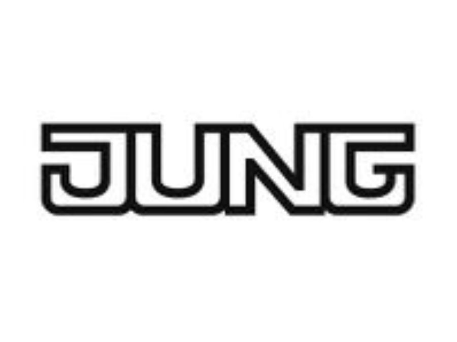 Jung logo