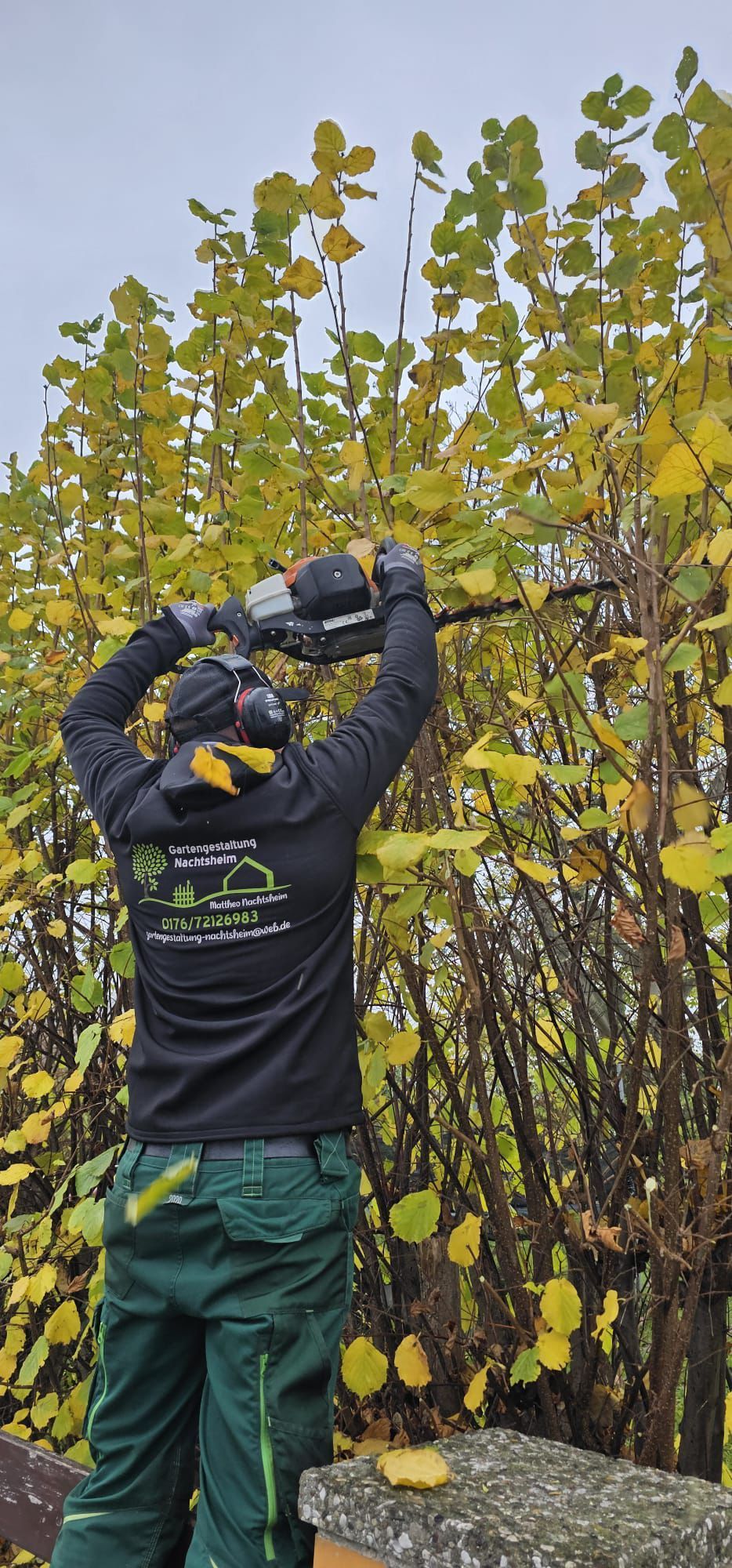 Ein Mann beschneidet einen Strauch