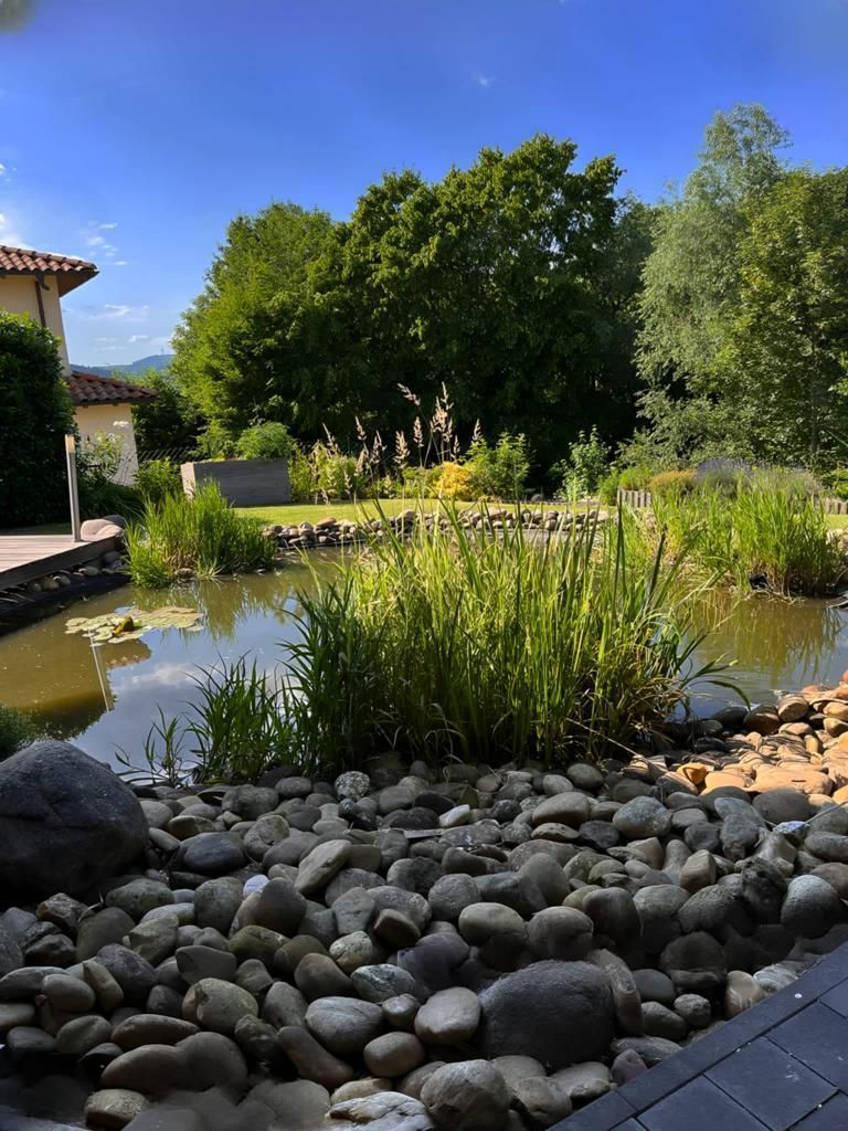 Ein von Felsen und Bäumen umgebener Teich mit einem Haus im Hintergrund.