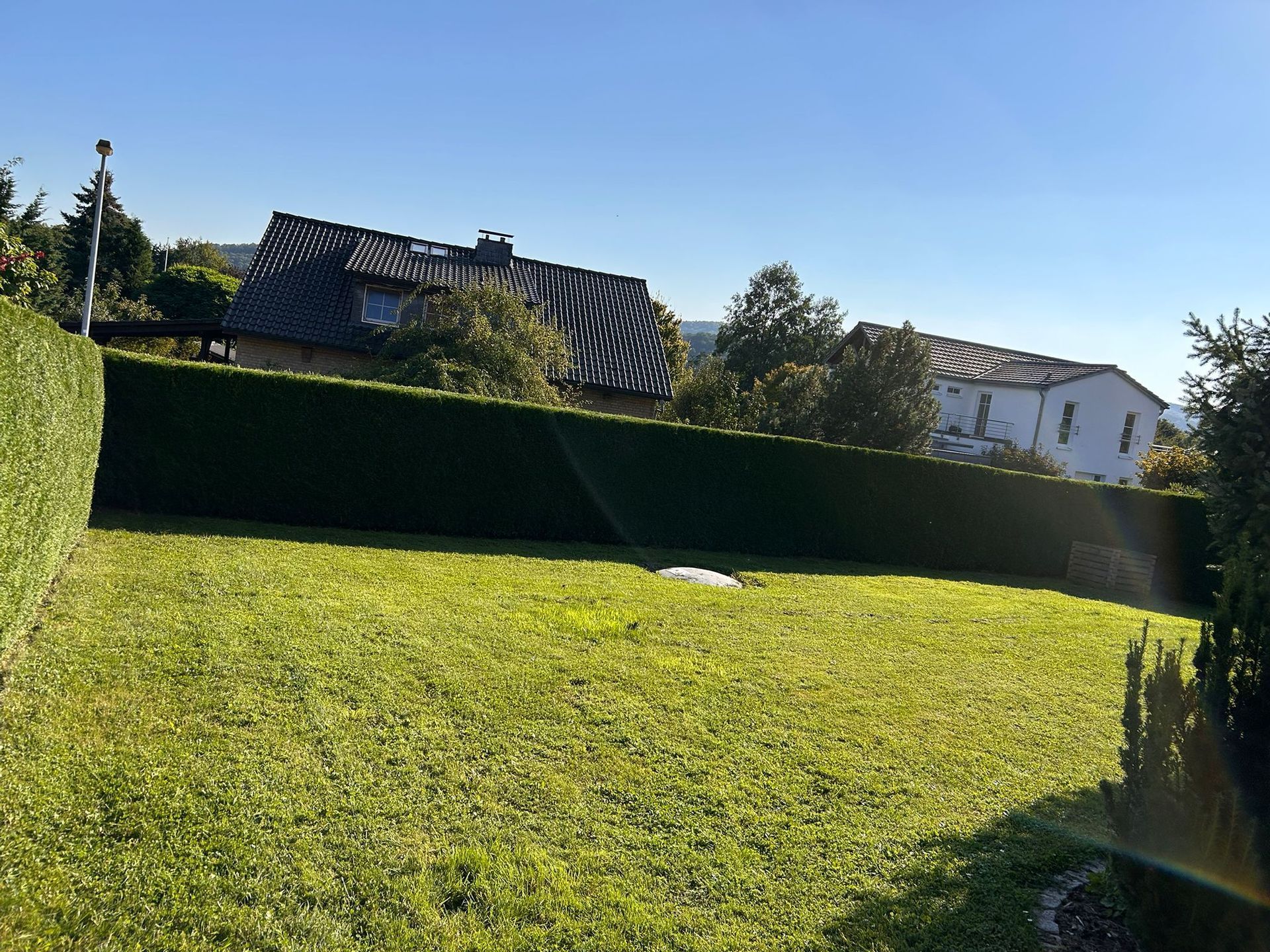 Ein üppiges grünes Feld mit einem Zaun und Häusern im Hintergrund