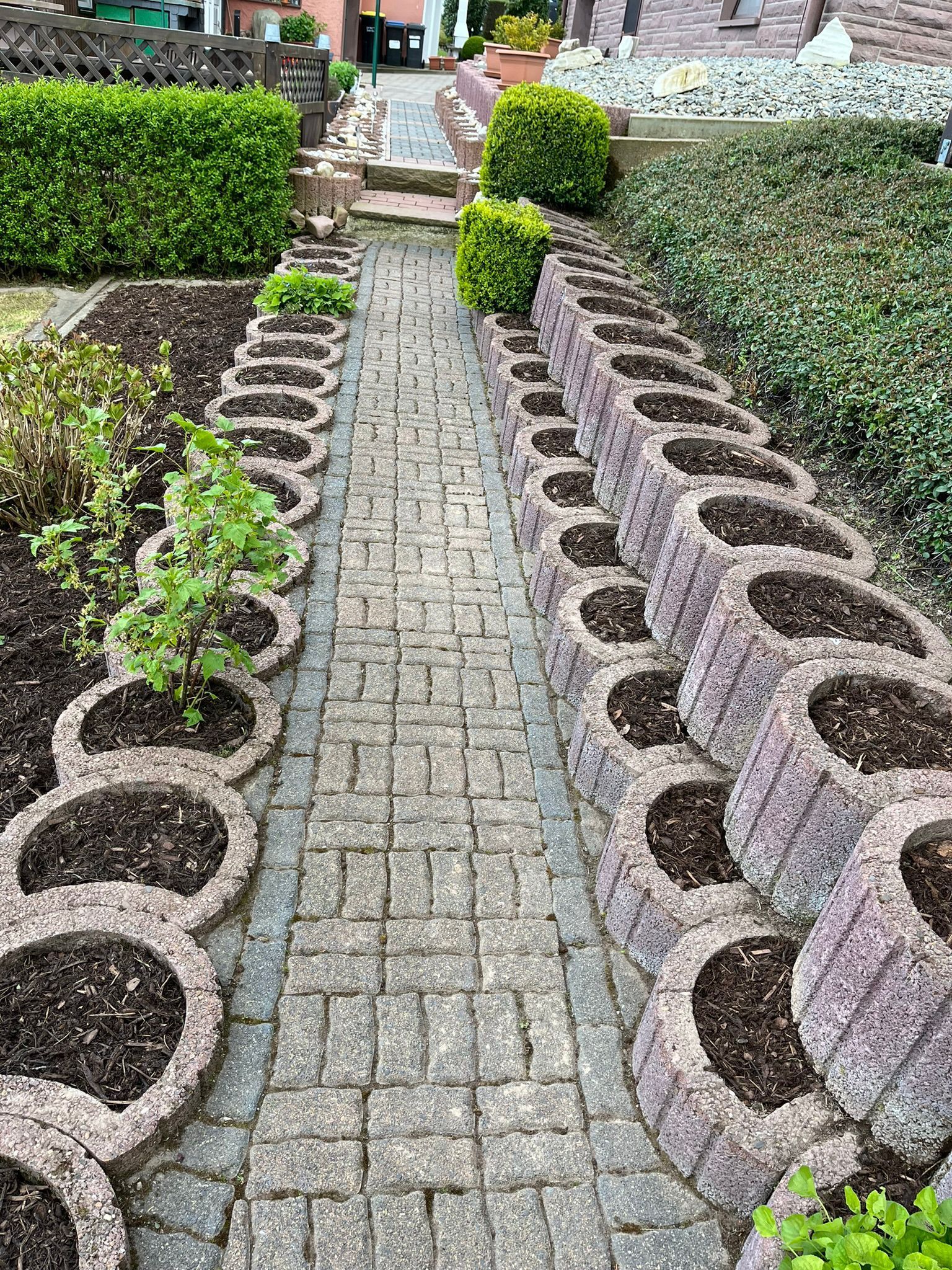 Ein Ziegelweg führt zu einem Garten mit zahlreichen Pflanzgefäßen.