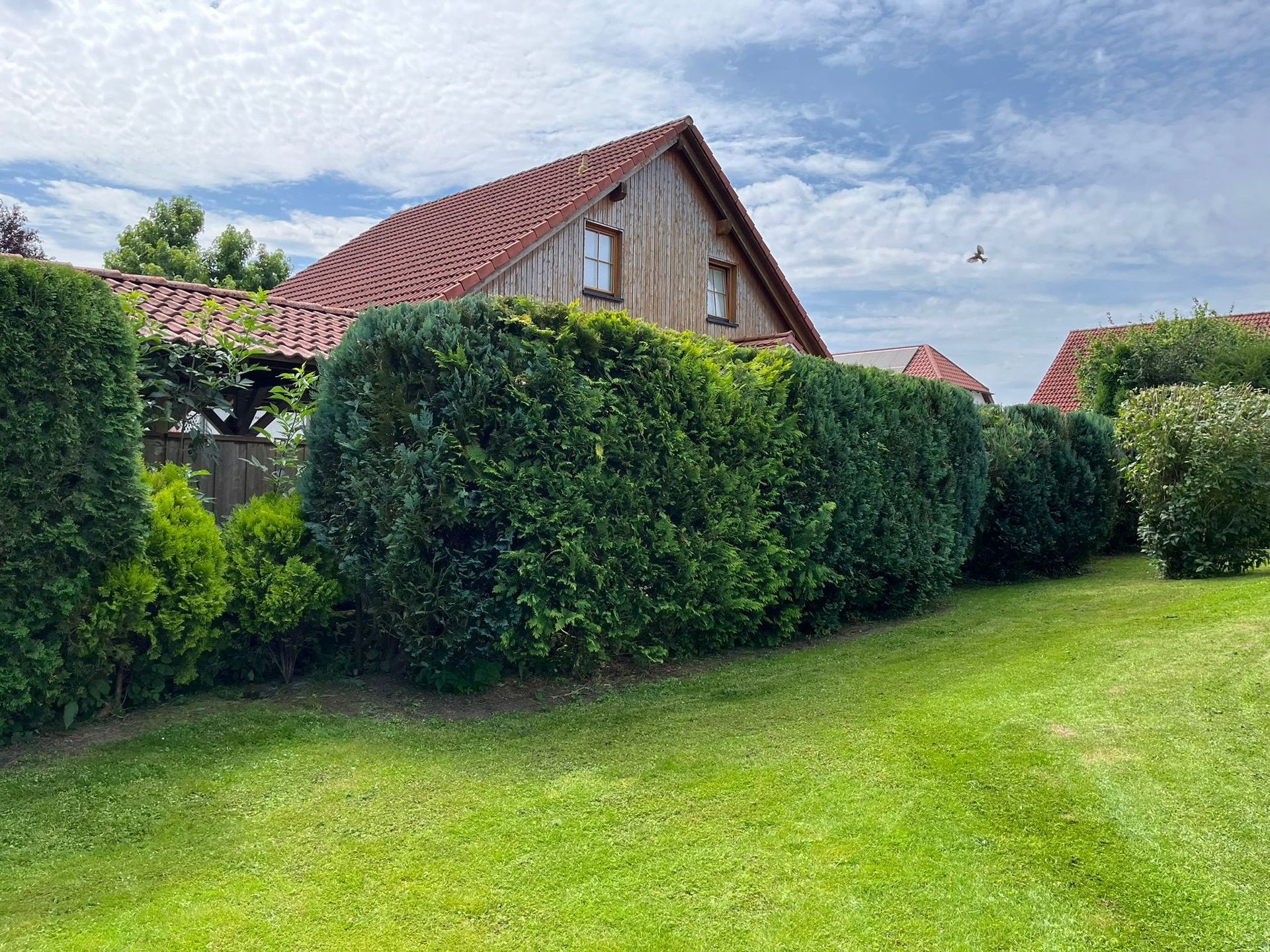 Hinter einer üppigen grünen Hecke steht ein Haus mit rotem Dach.
