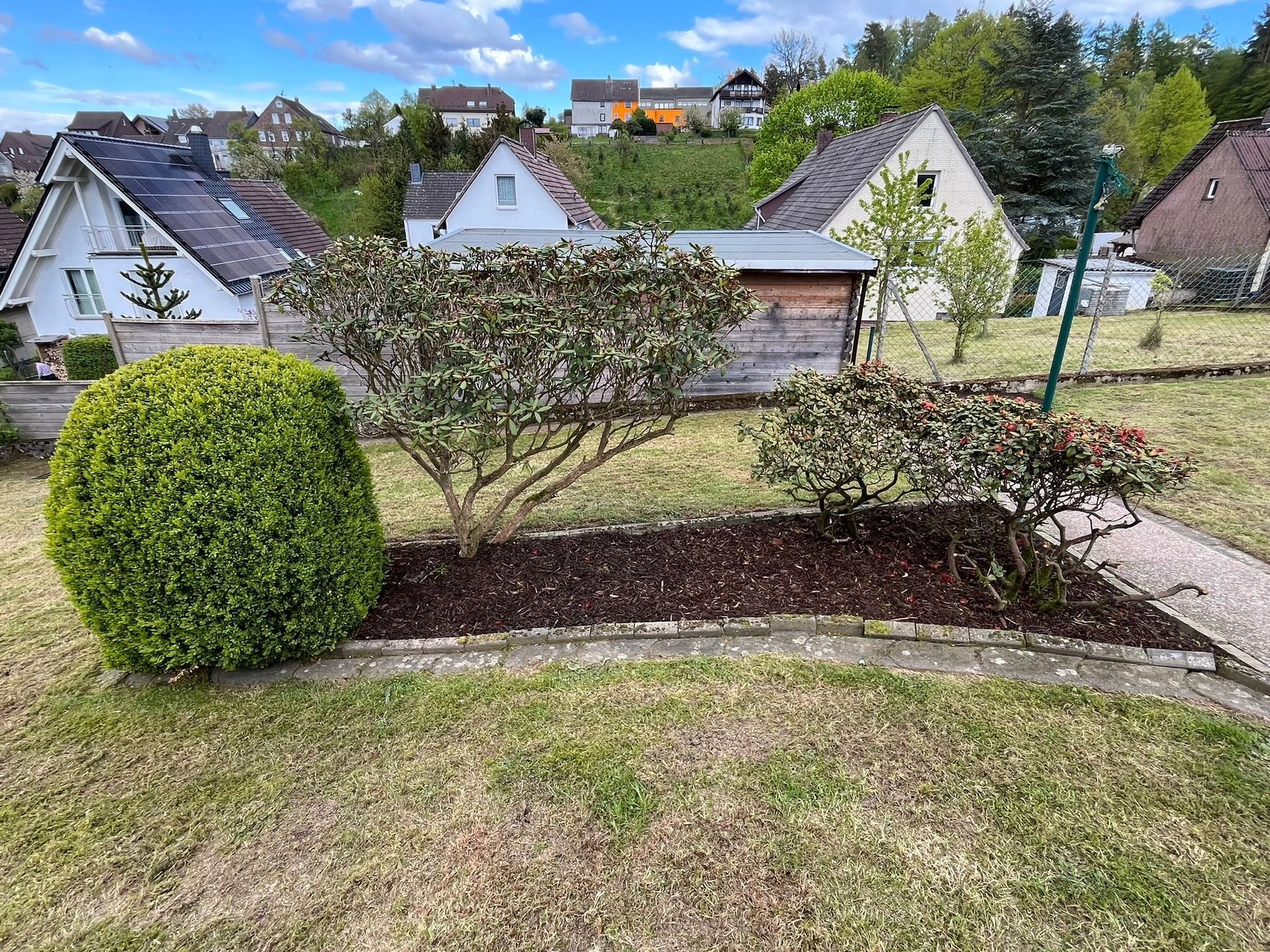 Inmitten eines Gartens steht ein Busch, im Hintergrund sind Häuser zu sehen.