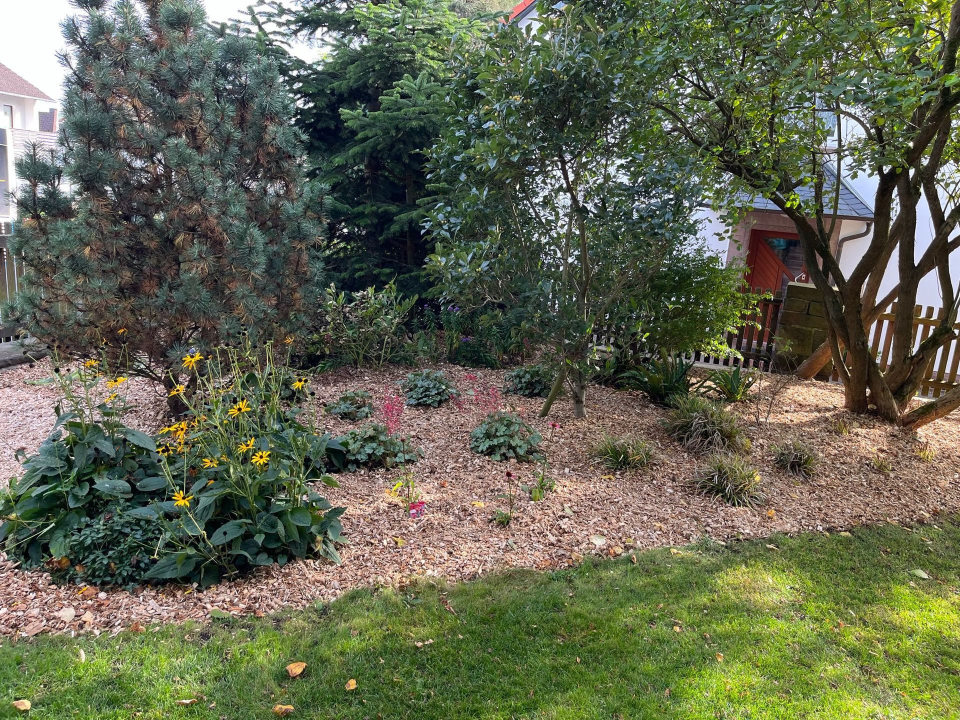 Ein Garten mit vielen Pflanzen und Bäumen vor einem Haus.